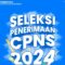 cpns 2024 rembang